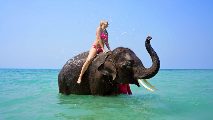 A Woman on an Elephant